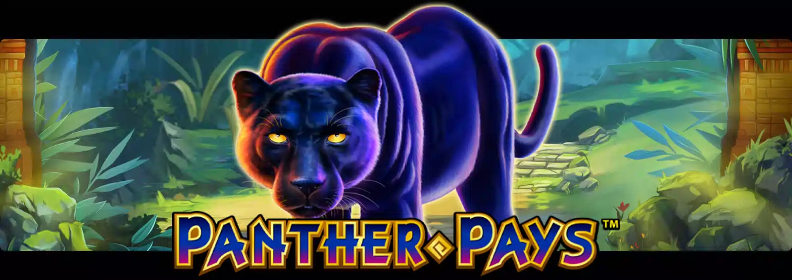 Panther Pays