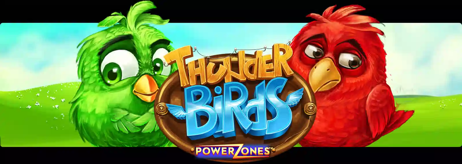 Power Zones: Thunder Birds