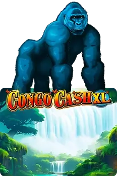 Congo Cash XL