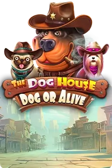 The Dog House - Dog or Alive