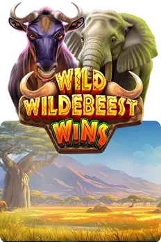 Preview Wild Wildebeest Wins