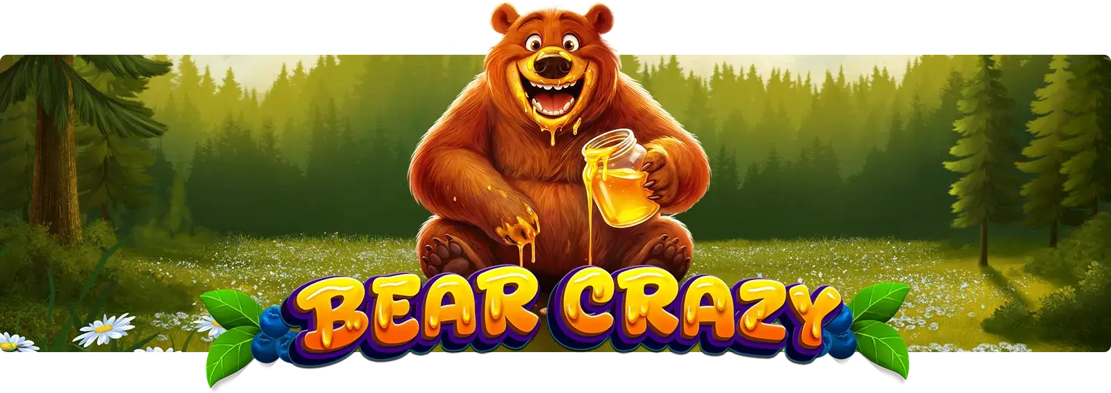 Bear Crazy