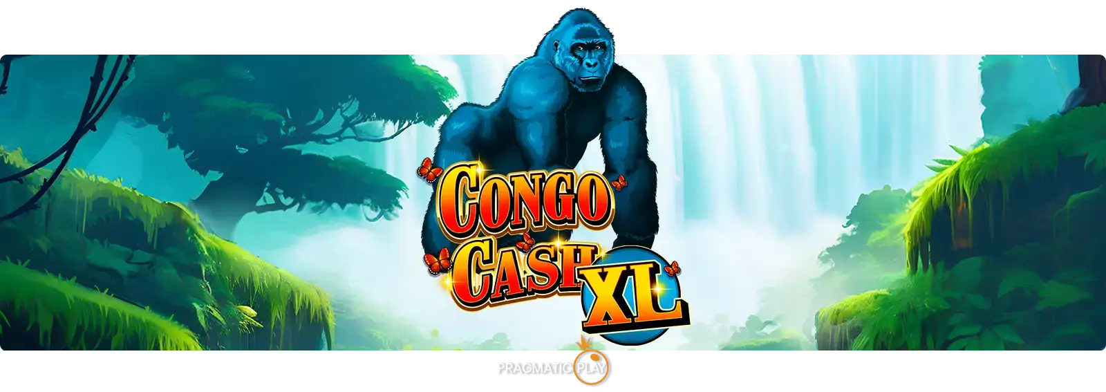Congo Cash XL