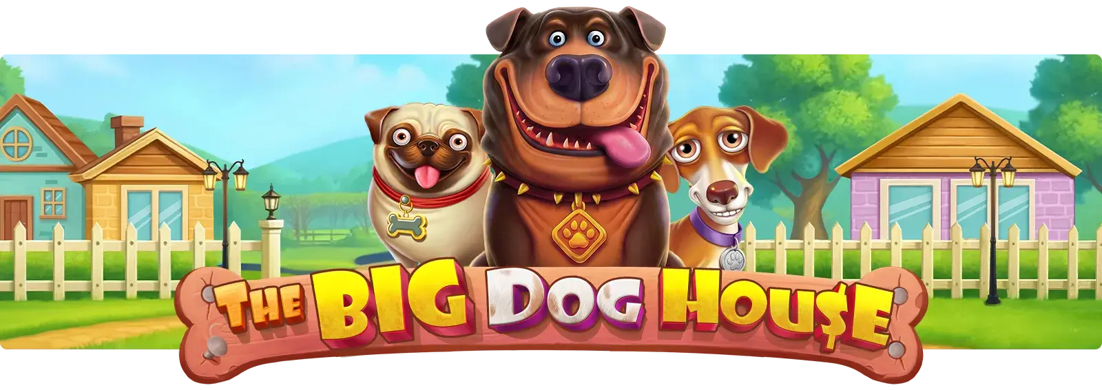 The Big Dog House