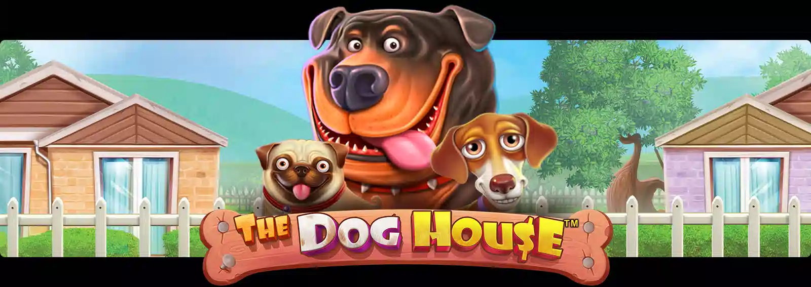 The Dog House