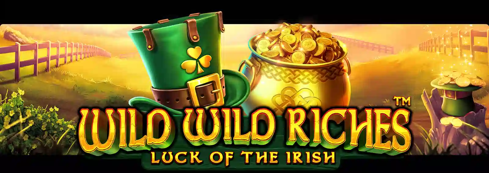 Wild Wild Riches