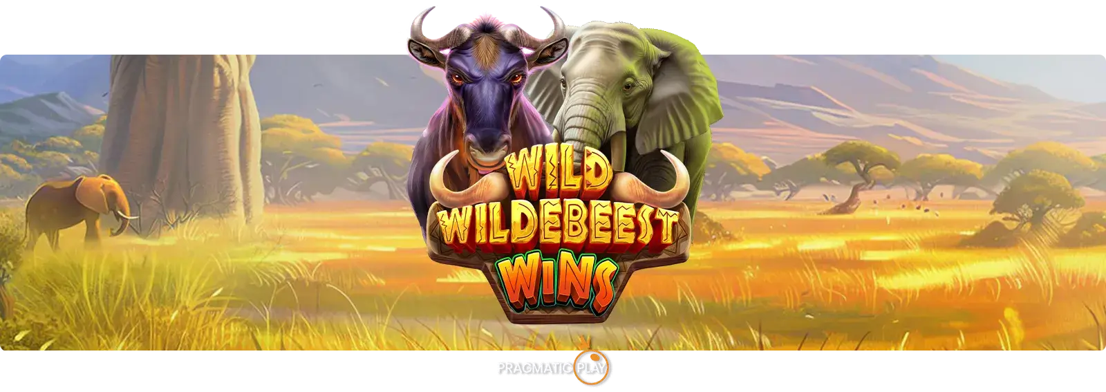 Wild Wildebeest Wins