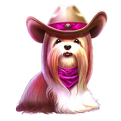 Simbolo 2 The Dog House – Dog or Alive