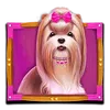 Simbolo 2