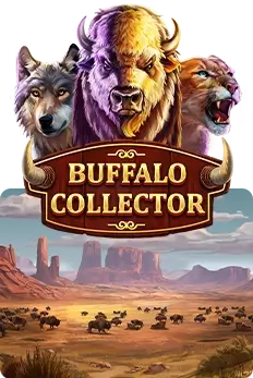 Buffalo Collector