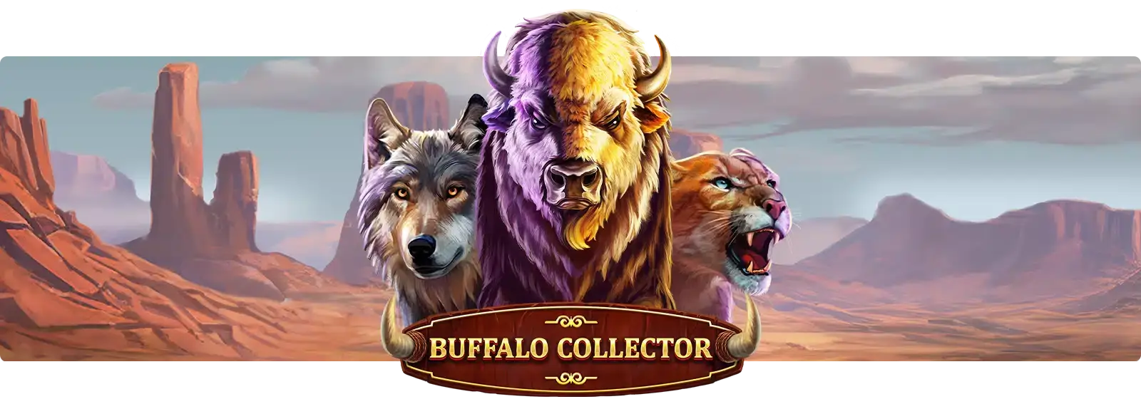 Buffalo Collector