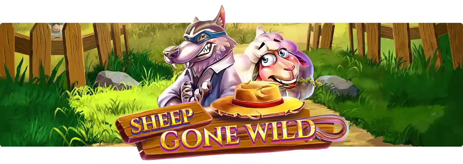 Sheep Gone Wild
