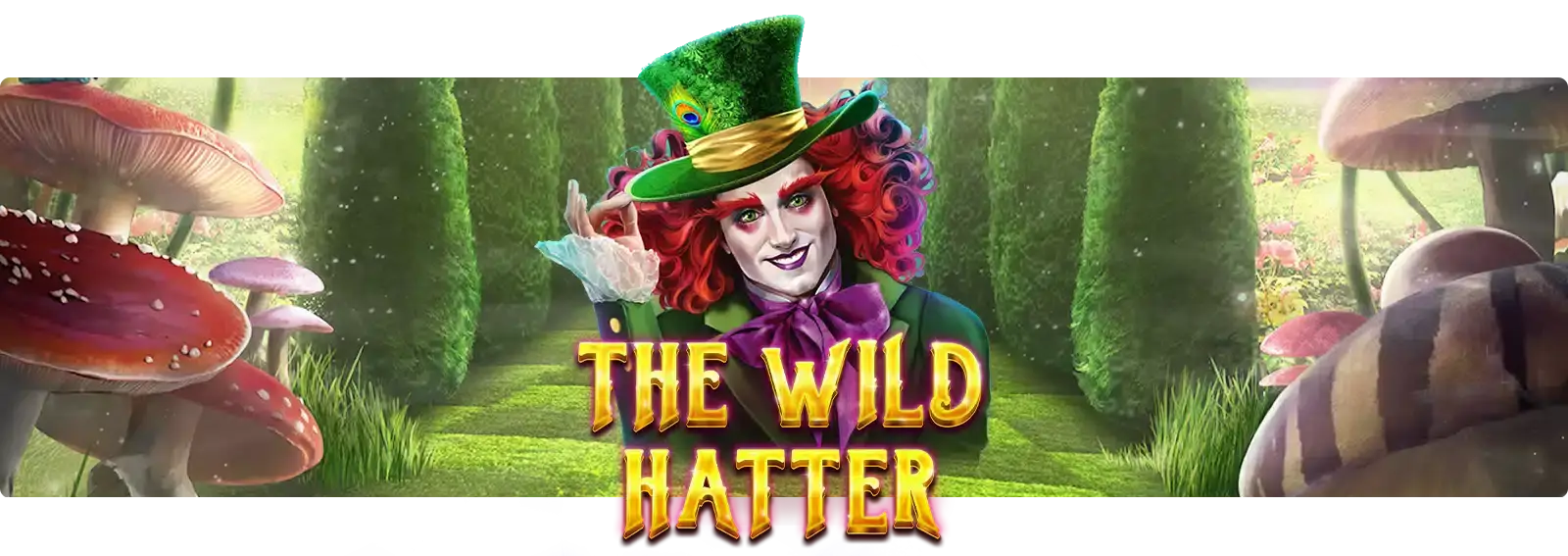 The Wild Hatter