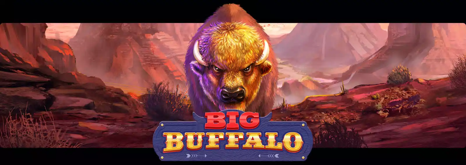 Big Buffalo