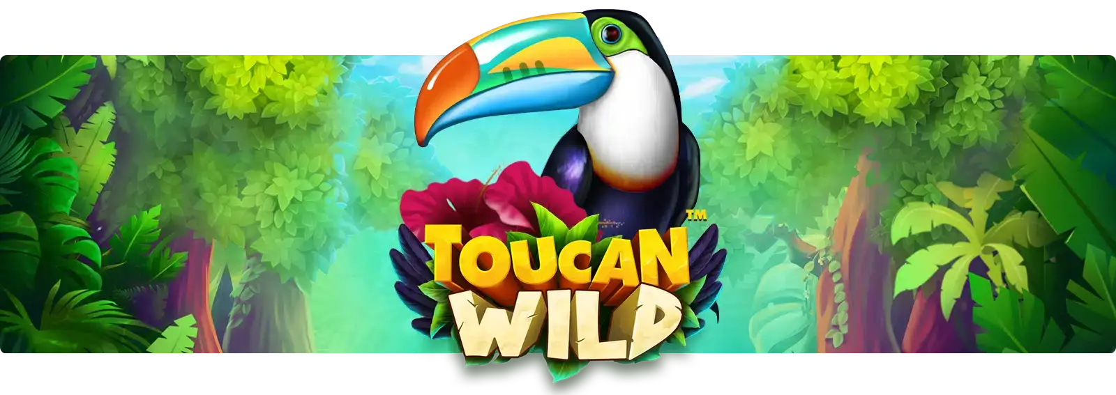 Toucan Wild