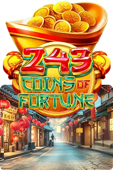 243 Coins of Fortune