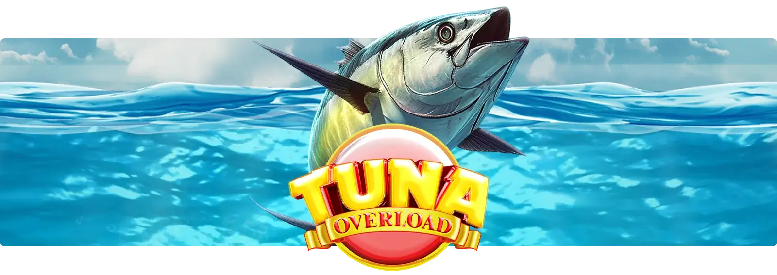 Tuna Overload