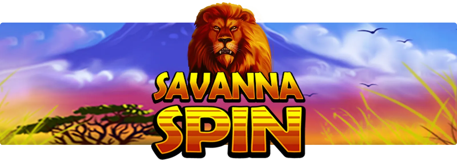 Savanna Spin