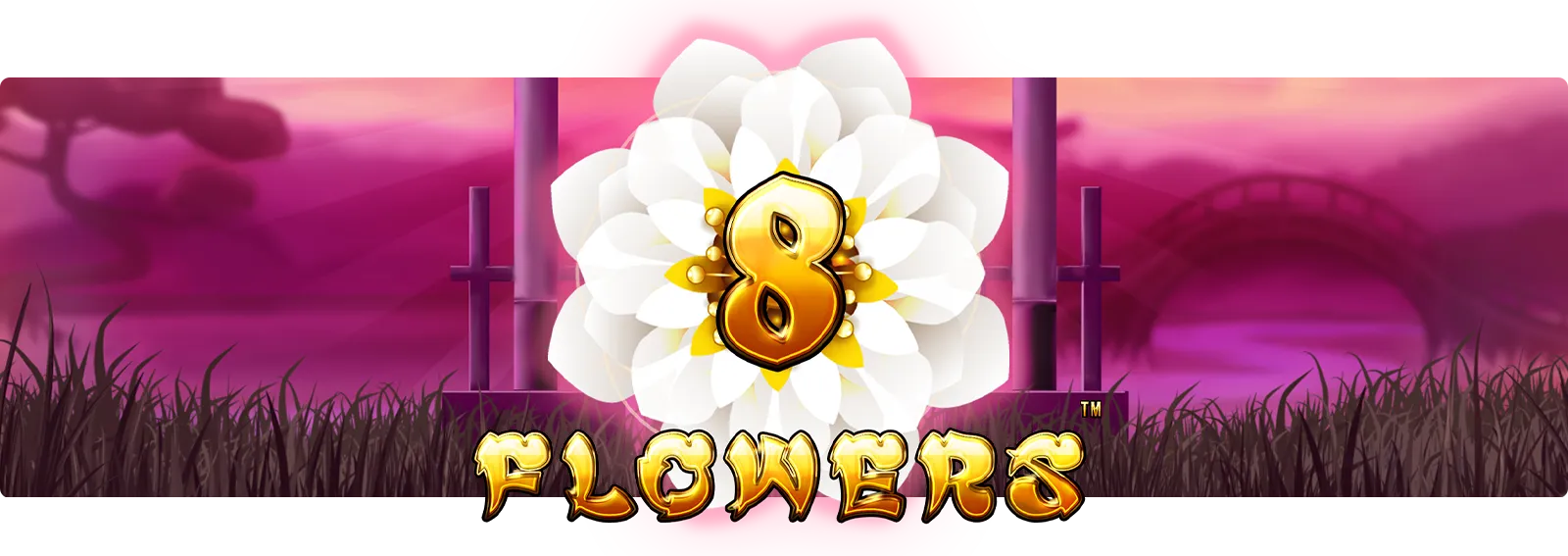 8 Flowers