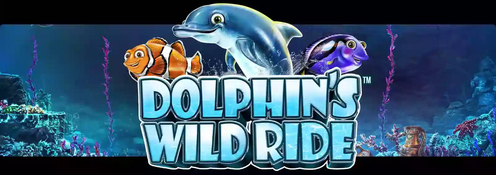 Dolphin's Wild Ride