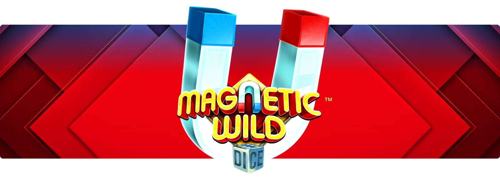 Magnetic Wild Dice