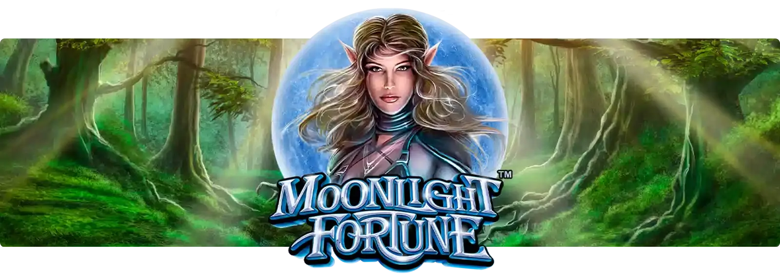 Moonlight Fortune