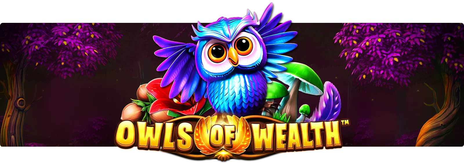 Owls of Wealth