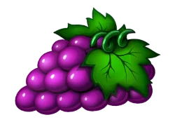 27 Joker Fruits 1000 4