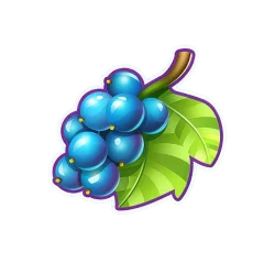 Icon 8 Joker 40 1000