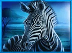 Simbolo Realm of Lions Hold And Win 4