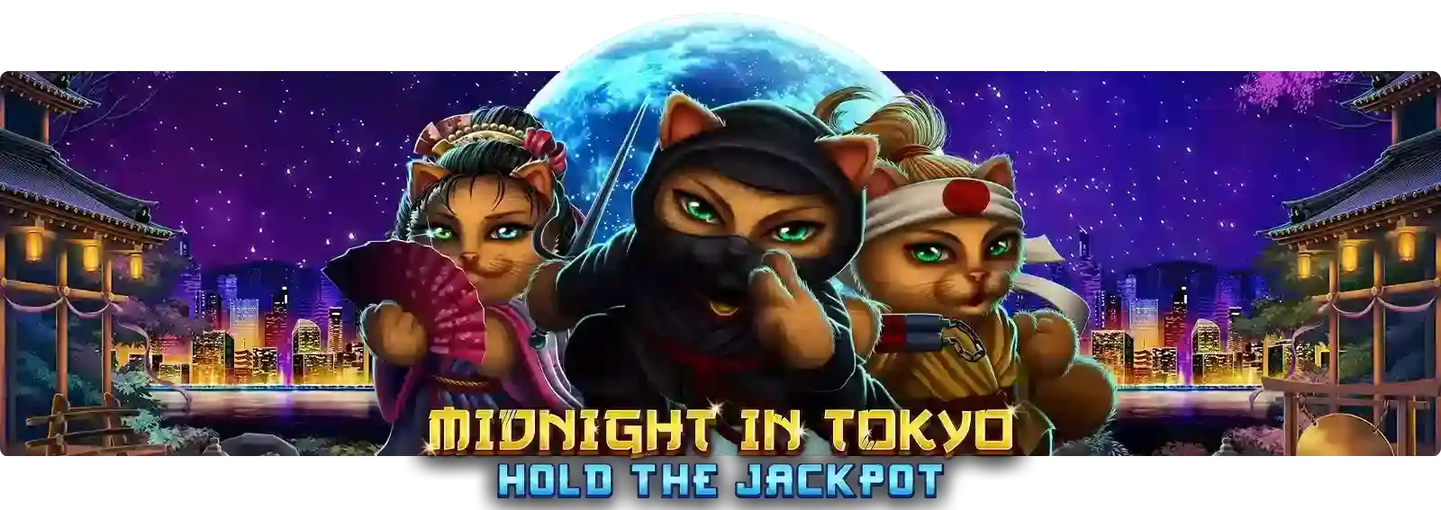 Midnight in Tokyo