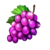 Simbolo 4