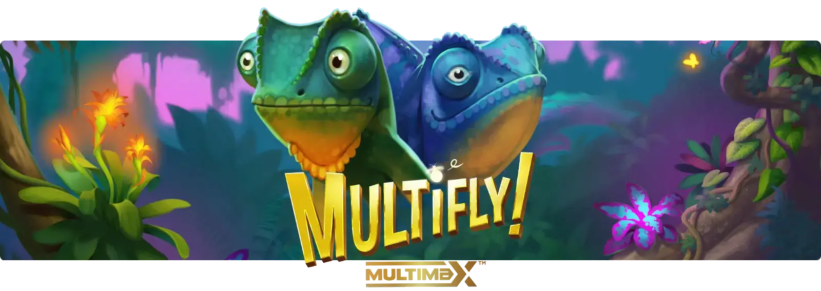 Multifly!