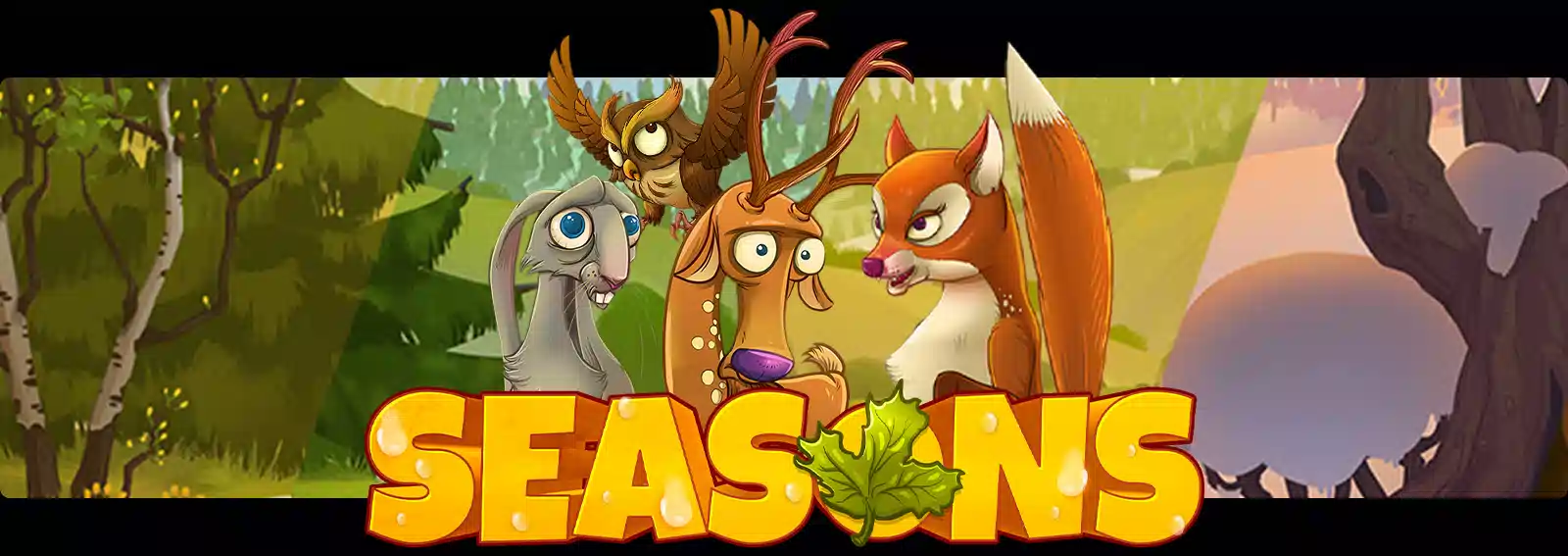 Seasons
