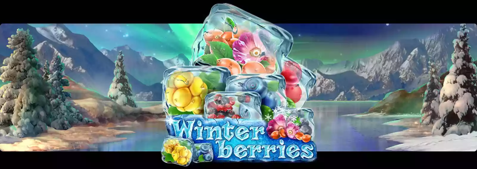 Winterberries